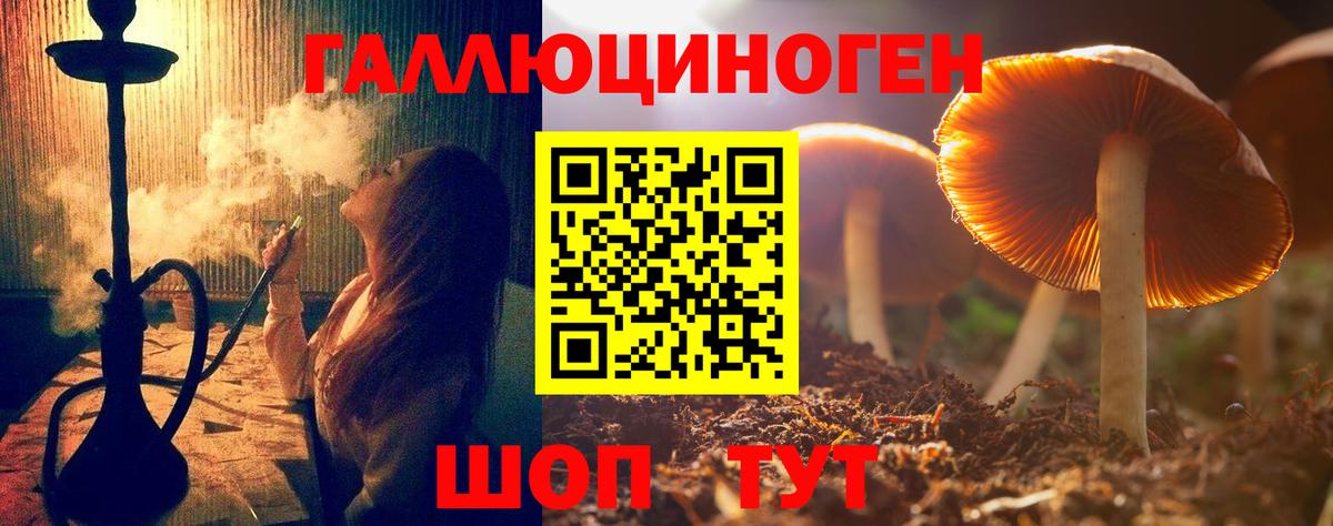 Щёкино  Галлюциногенные грибы GOLDEN TEACHER  Вход с VPN  Псилоцибиновые грибы ЛСД 